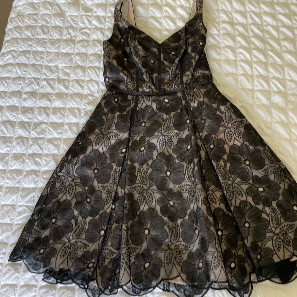 Jill Jill Stuart lace full line dress